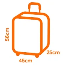 grand bagage cabine EasyJet